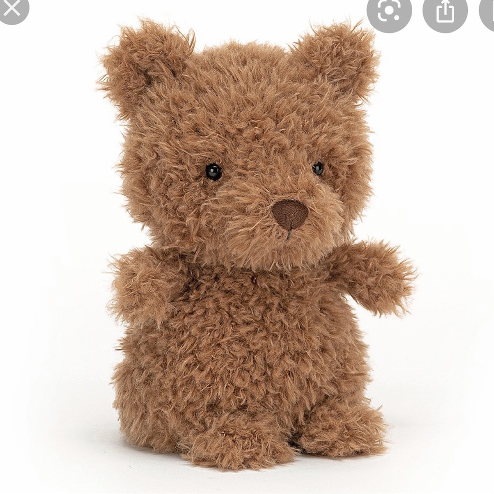 Jelly Cat Little Bear